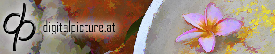 logo digitalpicture.at
