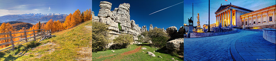 führende Linie